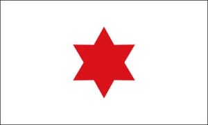 Bandera provisional usada por la provincia de Costa Rica. La Asamblea Provicional de Costa Rica en sesión Celebrada el 10 de mayo de 1823 acordó adoptar provicionalmente una bandera blanca con una estrella roja en el centro. Fue jurada el 8 de junio del mismo año. 1823-1824